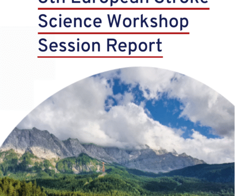 Visual of the ESSW Workshop Session Report