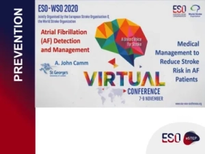 Medical Management to Reduce Stroke Risk in AF Patients