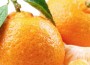 oranges